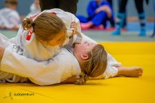 20.05.2023 Wachau JUDO Kids Cup